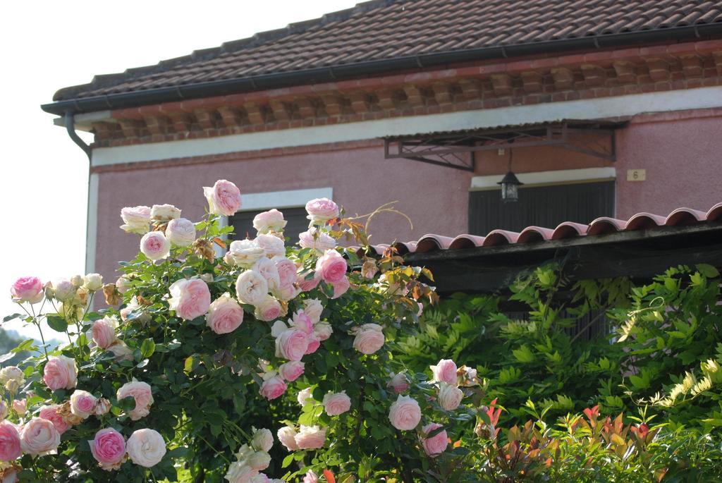 B&B La Ca Cita Cortazzone Buitenkant foto